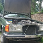 Ludwigs neue Pumpe